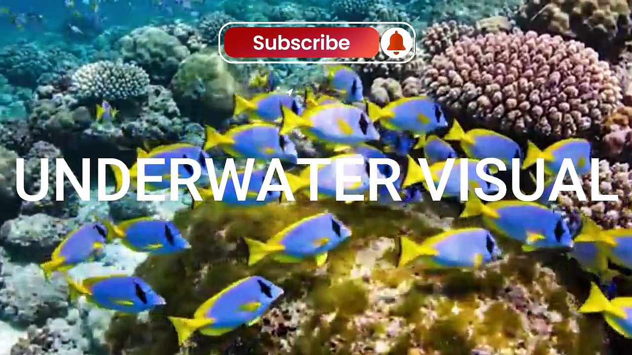 UNDERWATER VISUAL