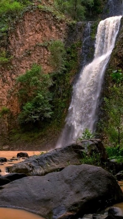 “Run With the Rain” - Musique AMIS