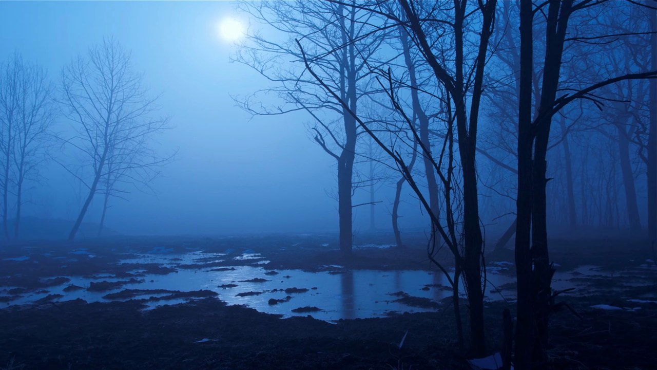 QUANDO ARRIVA LA NOTTE