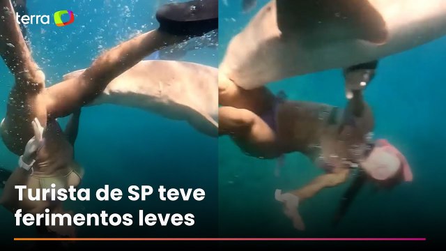 Vídeo mostra o momento em que advogada é mordida por tubarão em Fernando de Noronha