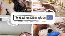[Vietsub] Vlog 260110・Tổng kết cuối năm 2025 của Ngốc, Cầu