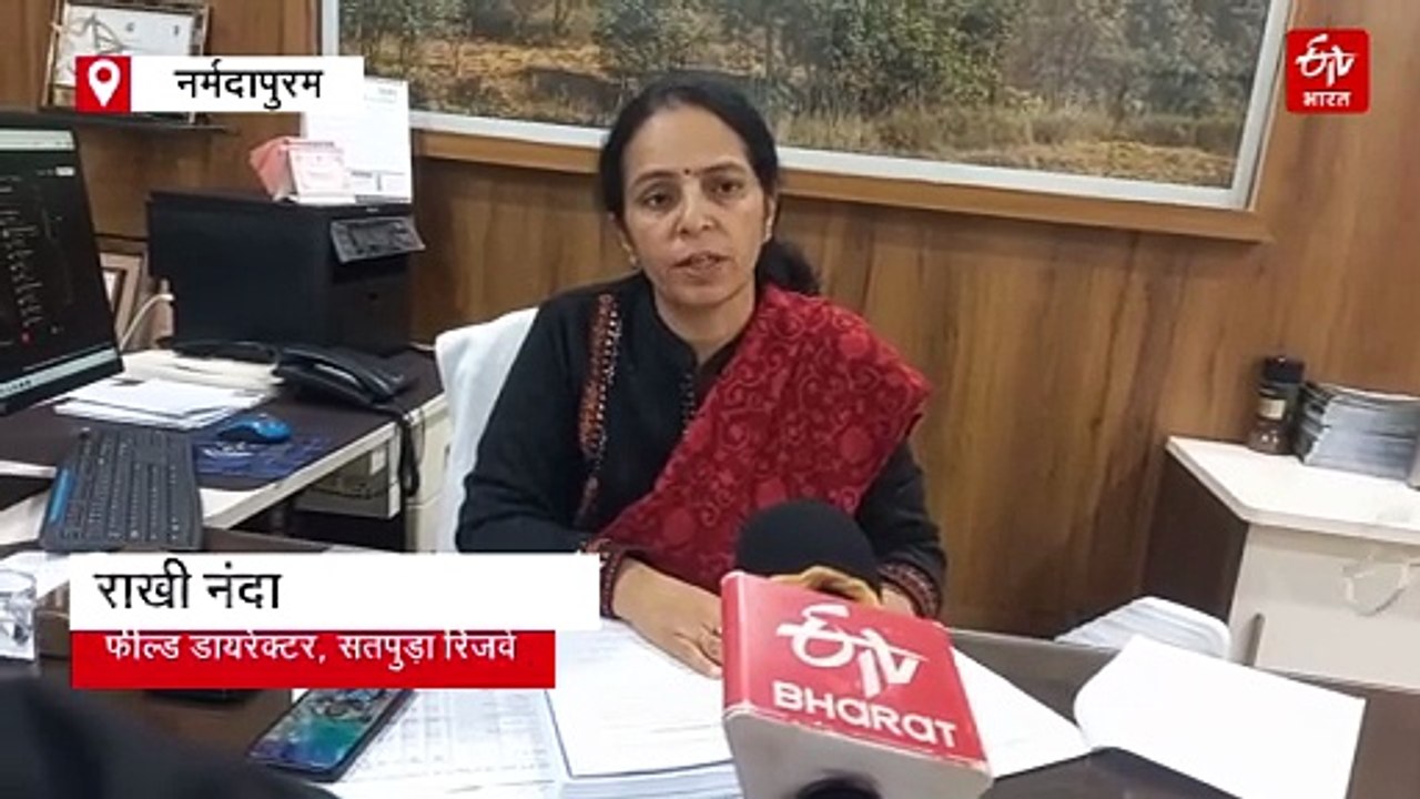 बांधवगढ़ के जंगलों में दौड़ेंगे सतपुड़ा के 27 ब...