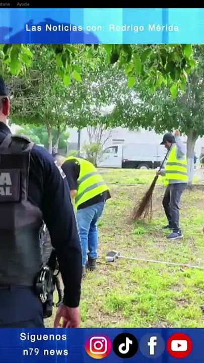 Seguridad, homicidios, aseguramientos y Estado de Derecho — Bloque del día