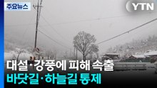 ’대설·강풍’에 바닷길·하늘길 통제...곳곳 피해 속출 / YTN
