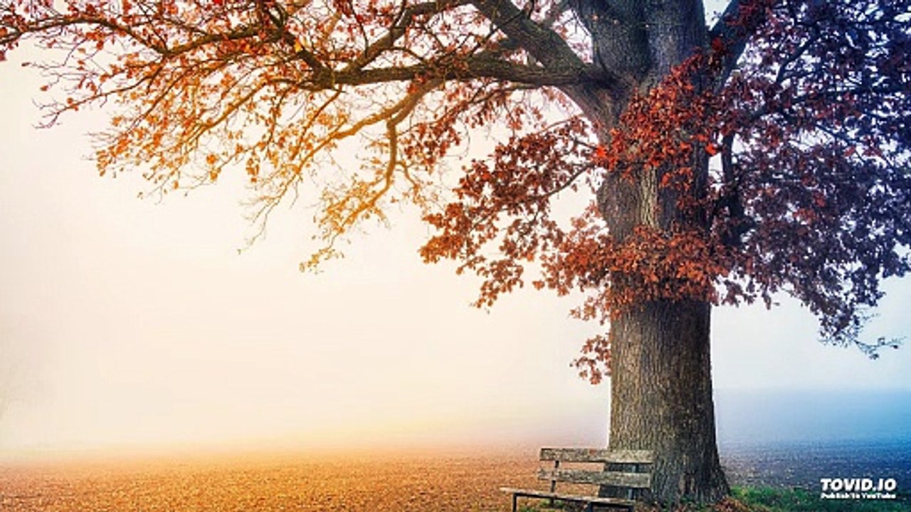 041שער הנקודים פרק ח | Harav ariel sibeoni |  Kabbale | secrets de la Torah | ochrot hayim