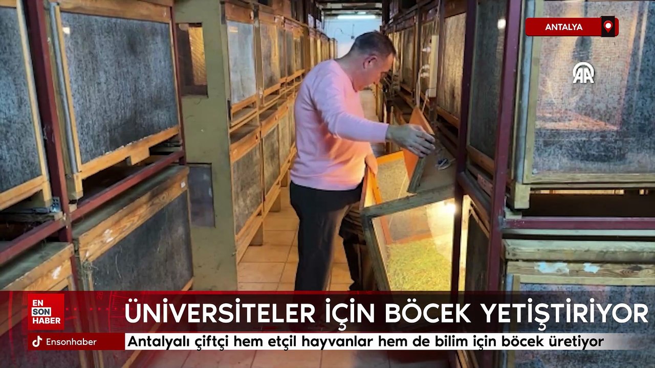 Antalyalı çiftçi hem etçil hayvanlar hem de bilim için böcek üretiyor