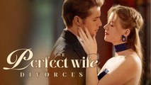 The Perfect Wife Divorces