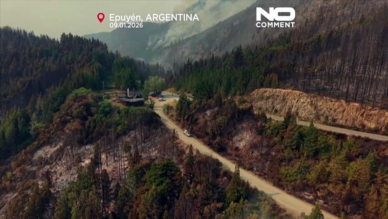 Un feu de forêt ravage plus de 5 500 hectares en Patagonie argentine