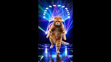 cat floor smasher BIG CAT DJ