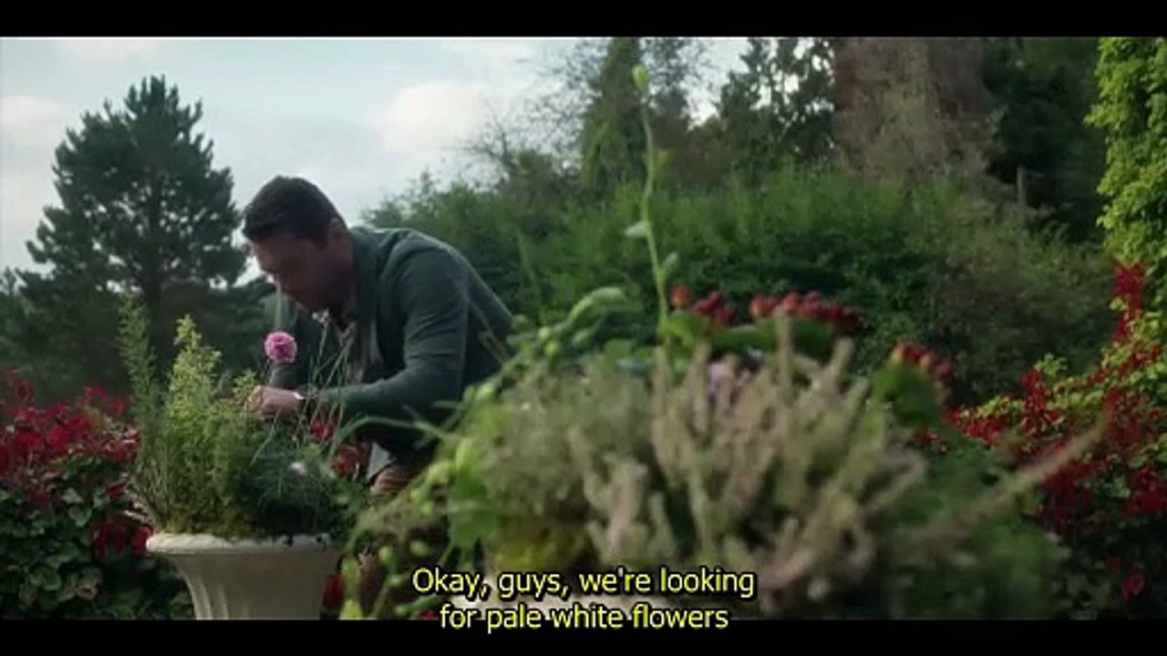 Harry Wild - Season 4 Episode 100 - (special) You Are Cordially Invited to an Assassination