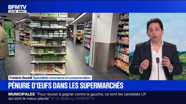 Pourquoi les œufs manquent dans les rayons des supermarchés?