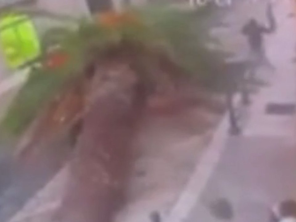 Wegen Sturm: Palme stürzt auf Auto und verfehlt Fußgänger nur knapp