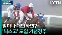 [주간 경마] 얼마나 대단하면? 닉스고 도입 기념경주 / YTN