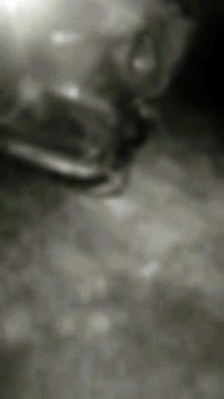 Captan accidente en Pimienta, Cortés