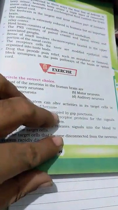 class 12 biology test book mcqs solution chapter 17 nervous coordination