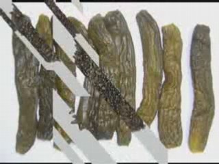 Bulgarians: Humans or Aliens?