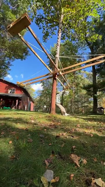 Amazing handmade children's swing