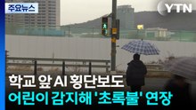 어린이 지날 땐 ’초록불’ 연장...용인시에 AI 횡단보도 등장 / YTN