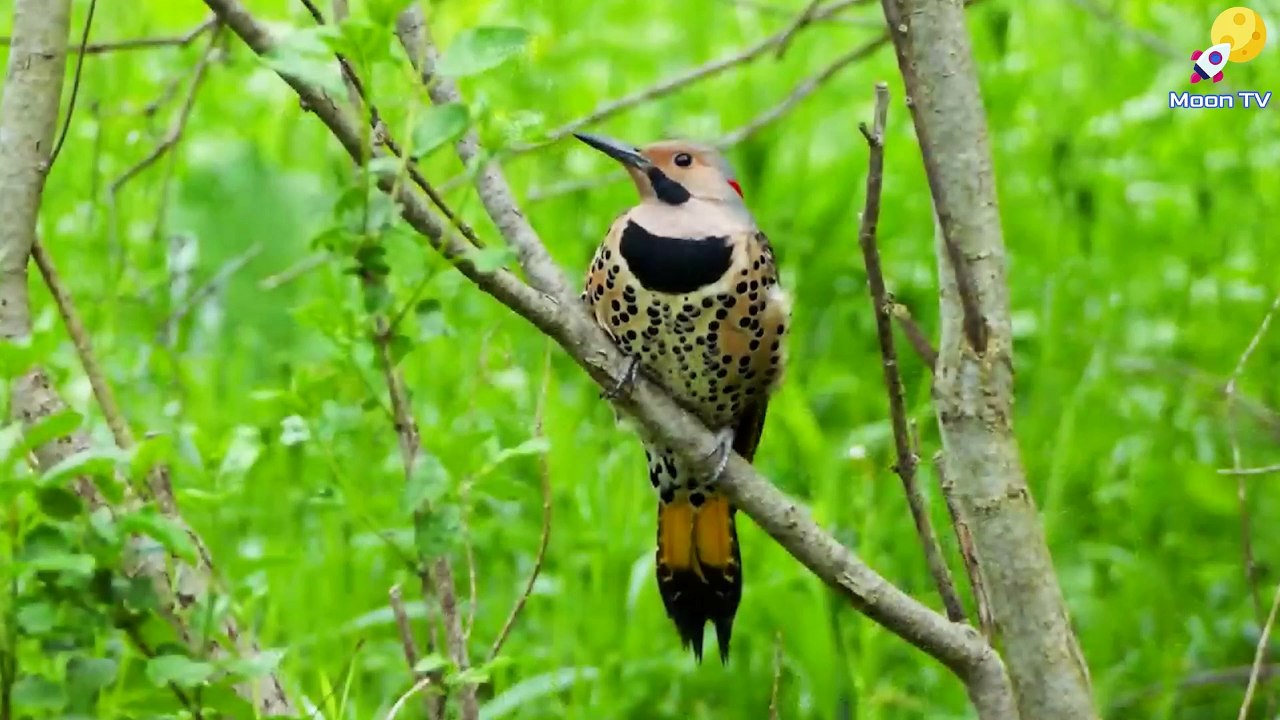 Mindfulness Music For Increased Awareness And Clarity