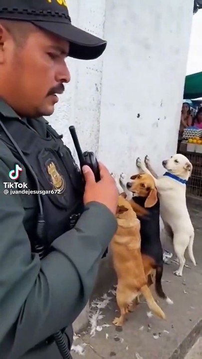 la banda "los roba pollos"
