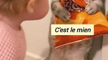 💖"BEST-OF" DES SITUATIONS AVEC LES CHATS🥰💖💥ABONNES-TOI STP🙏💖 MERCI 🙏💖💥