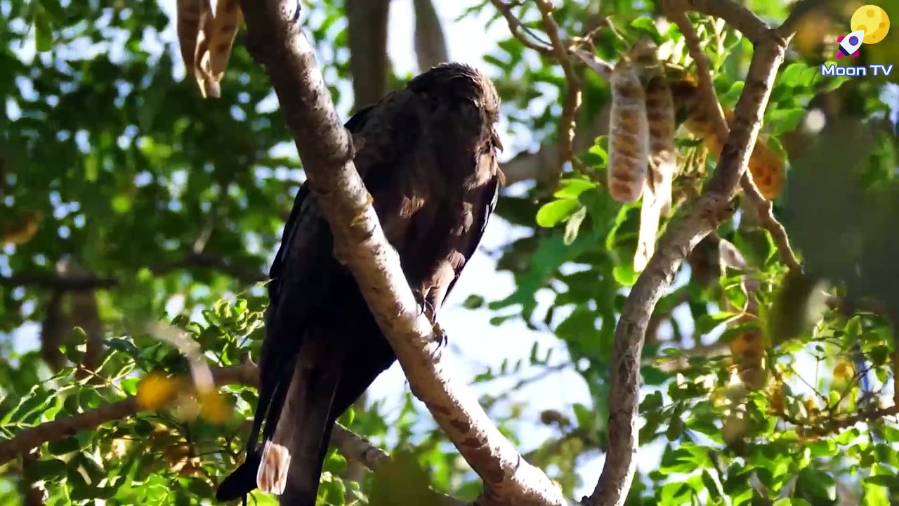 Stress Relief Music For Travel And Commuting