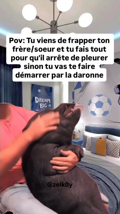 Pov: Tu viens de frapper ton frère/soeur et tu fais tout pour qu'il arrête de pleurer sinon tu vas te faire démarrer par la daronne