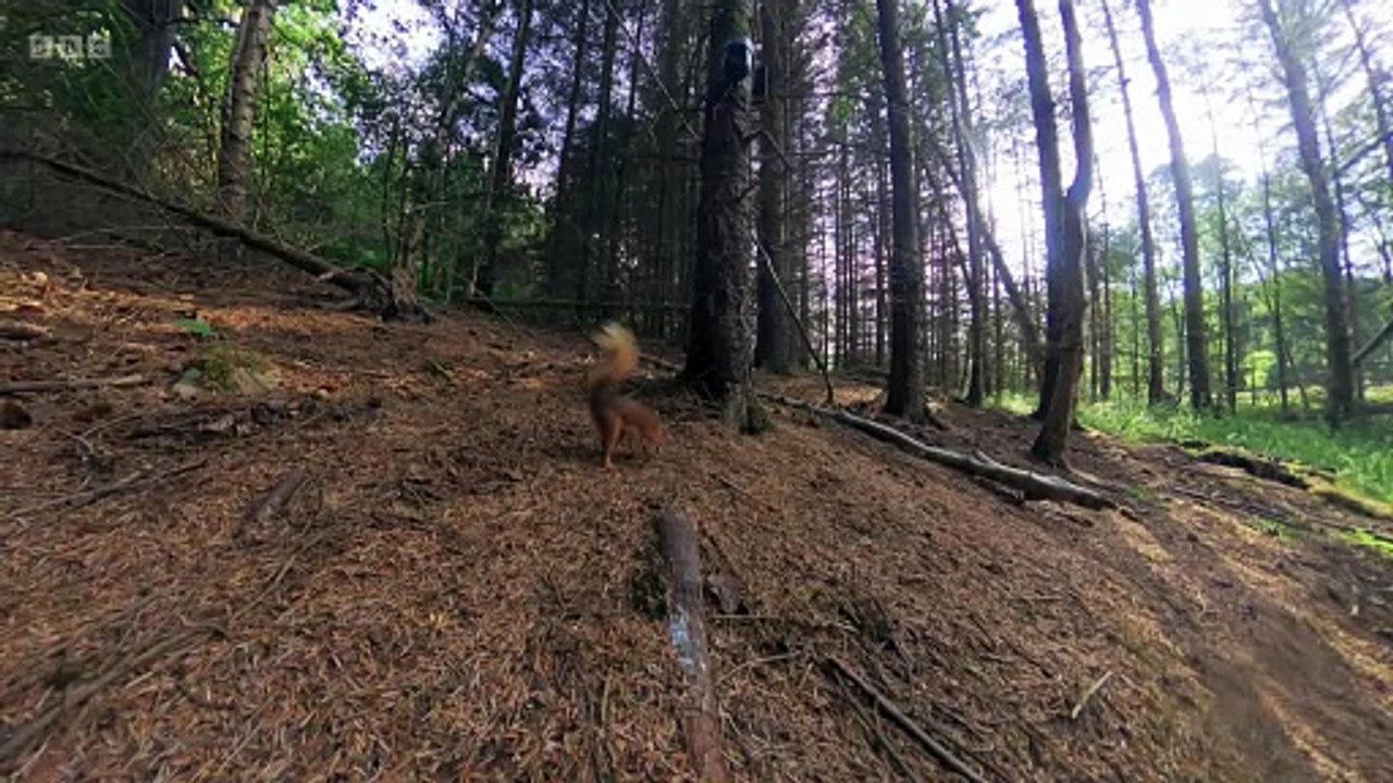 Countryfile - Northumberland