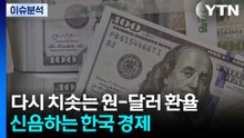 [스타트 경제] 다시 치솟는 원-달러 환율...신음하는 한국 경제 / YTN