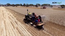 Vintage harvesters showcase evolution of grain harvesting on Yorke Peninsula