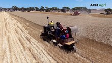 Vintage harvesters showcase evolution of grain harvesting on Yorke Peninsula