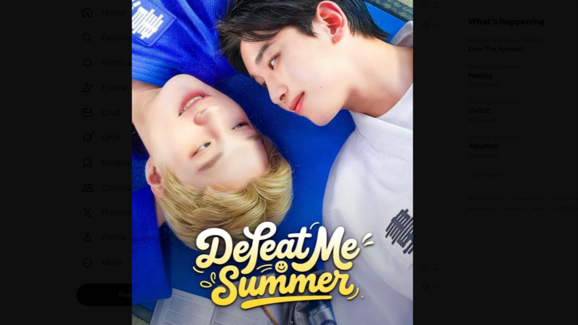 Defeat Me, Summer Drama Movies English Sub