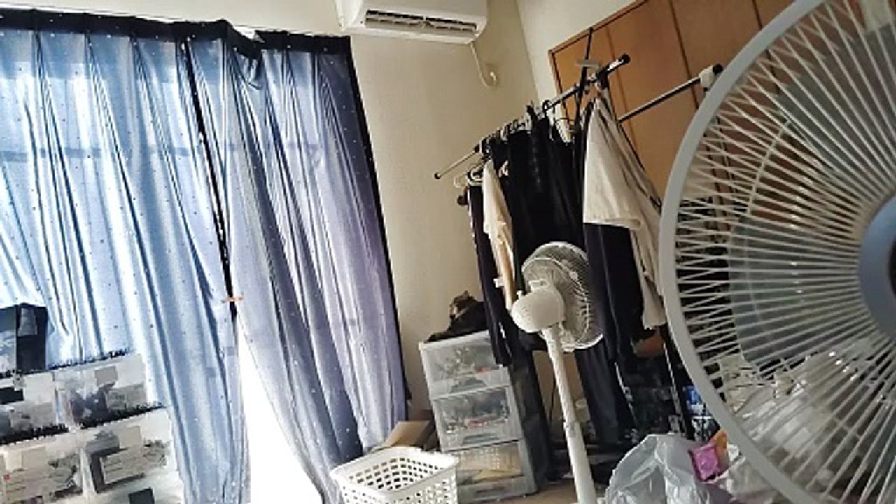 毛繕いするミア5