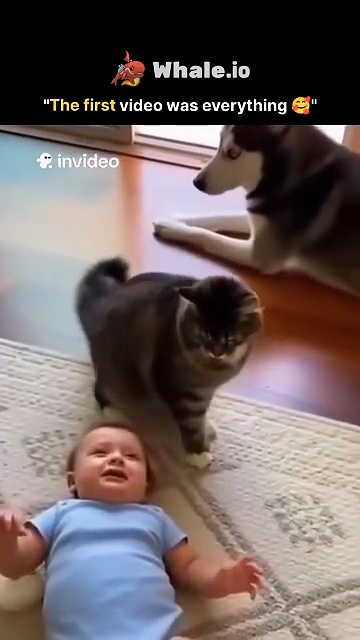 The first video was everything .#trendingreels #reels #viral #posts #fyp #trending #viralreels #