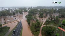 Paddocks turned to oceans in Clermont after widespread flooding