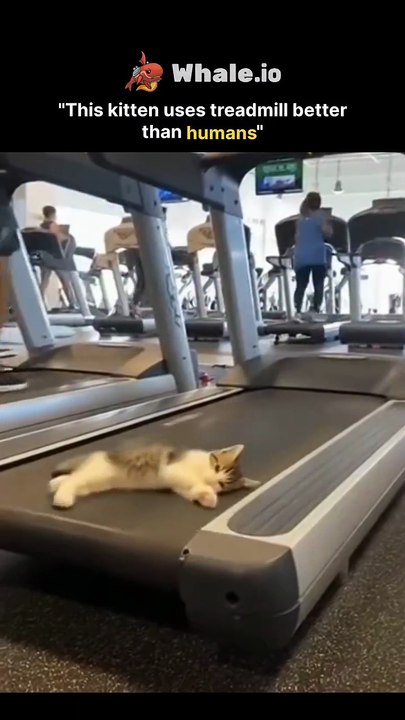 Humans.#trendingreels #reels #viral #posts #fyp #trending #viralreels #trendingpost #art