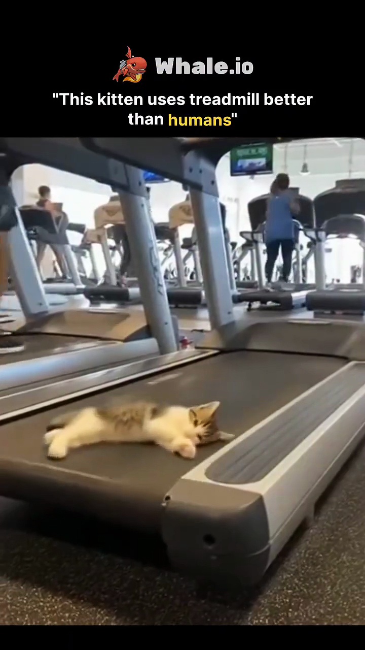 Humans.#trendingreels #reels #viral #posts #fyp #trending #viralreels #trendingpost #art