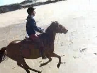 Galop sur la plage