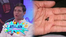 iBilib: The World's Smallest Insect!