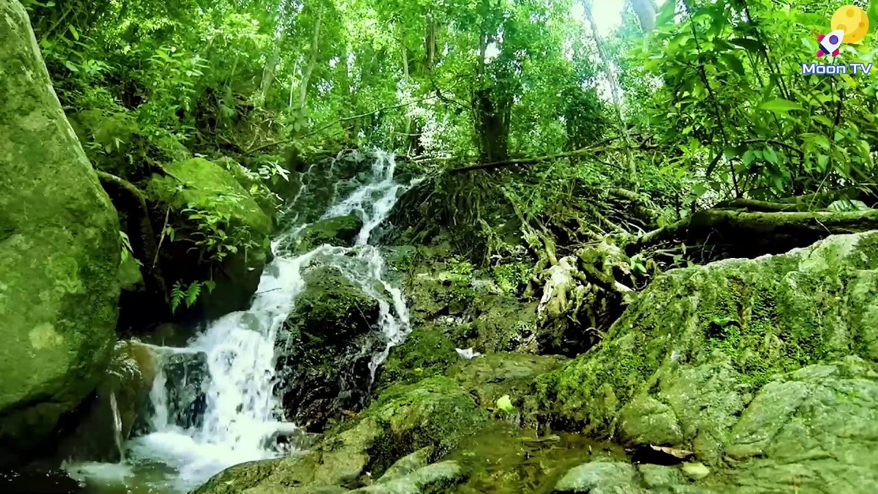 Mindfulness Music For Concentration And Productivity