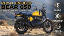 Royal Enfield Bear 650 – Alle Fakten zum Scrambler-Bike!