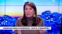 La chronique santé : Cadmium dans le chocolat, faut-il s'inquiéter ?