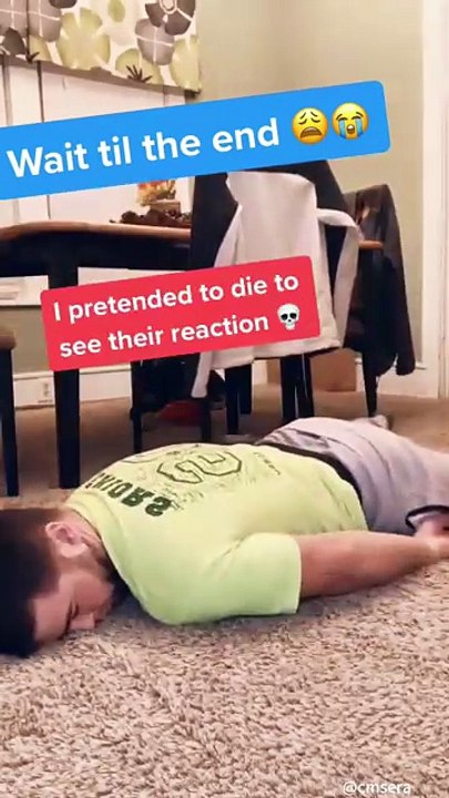 I Pretended to Pass Out in Front of My Dog…