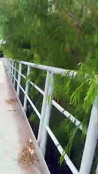 Puentes sobre Paso del Bote - Caminata por Tacuarembó 07/01/2026