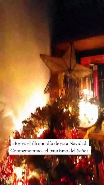 Hoy termina el tiempo de Navidad. Hoy conmemoramos el Bautismo del Señor 11/01/2026