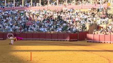 navalon en sevilla