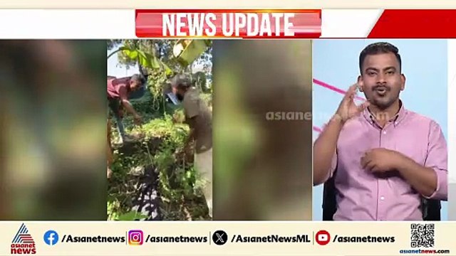പയ്യന്നൂർ നഗരസഭാ ഓഫീസിന് സമീപത്തുനിന്ന് മൂന്ന് പെരുമ്പാമ്പുകളെ പിടികൂടി