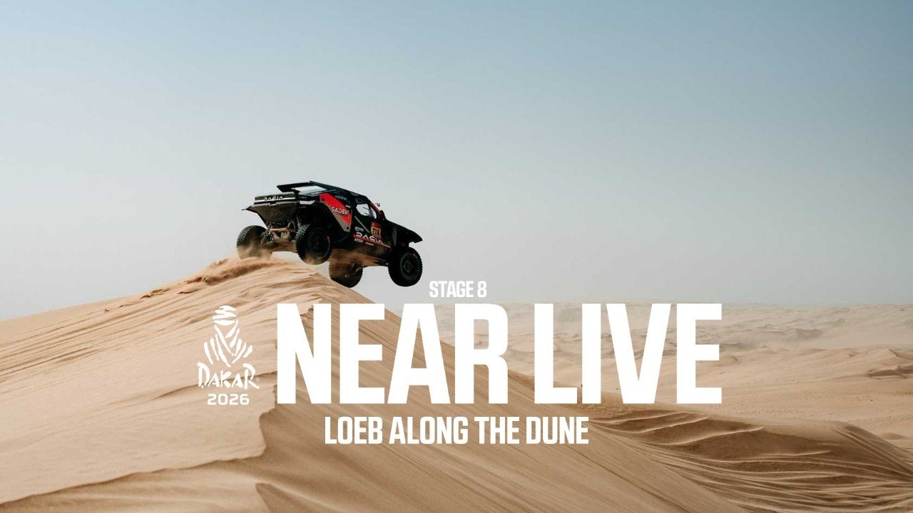 Loeb along the dune