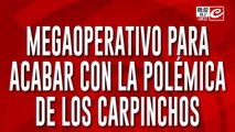 Tensión en Nordelta: polémica por el plan que se puso en marcha para reubicar a los carpinchos