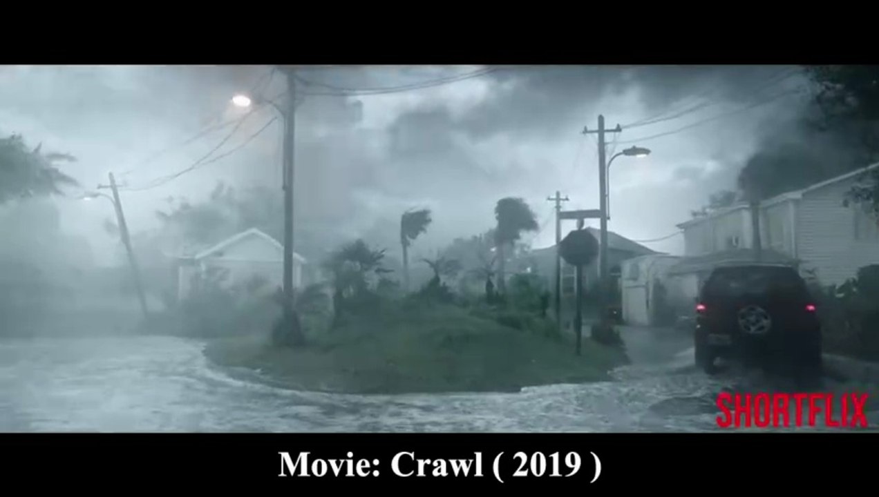 Crawl (2019) Full Movie Explained in Hindi/Urdu | Killer Alligator Flood Survival Thriller 🐊😱